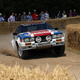 Illustration for article titled Tons Of Classic Rally Cars? Tons Of Classic Rally Cars!